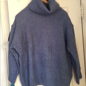 Zara Turtleneck Sweater